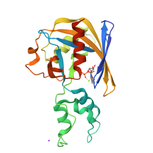 RCSB PDB - 7SF0: Crystal structure of Vaccinia Virus decapping enzyme ...