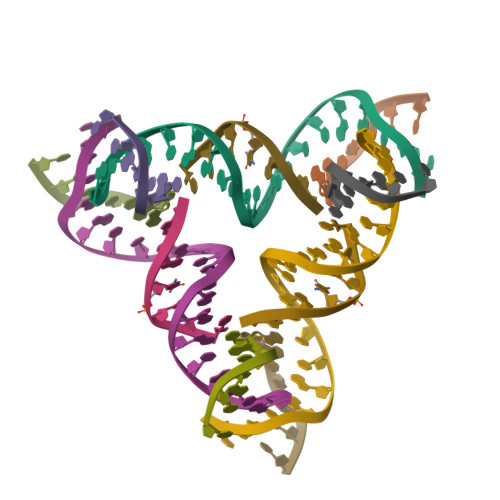RCSB PDB - 7SGA: [C-S] DNA mismatch in a self-assembling rhombohedral ...