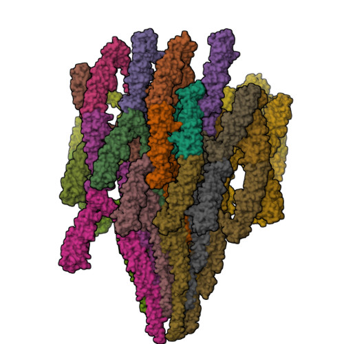 Eo7 Structure RCSB PDB - 7SN7: Cryo-EM structure of the enteropathogenic E. coli O127 ...