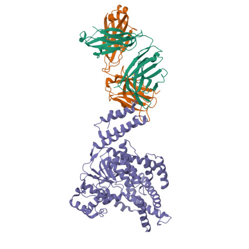 RCSB PDB - 7SO5: Novel structural insights for a pair of monoclonal ...