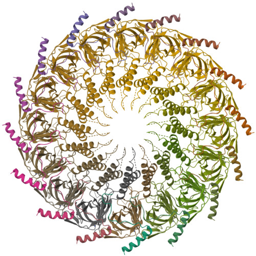 RCSB PDB - 7SPK: Models for C16 reconstruction of Outer Membrane Core ...