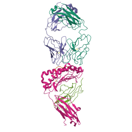 RCSB PDB - 7STF: Structure of KRAS G12V/HLA-A*03:01 in complex