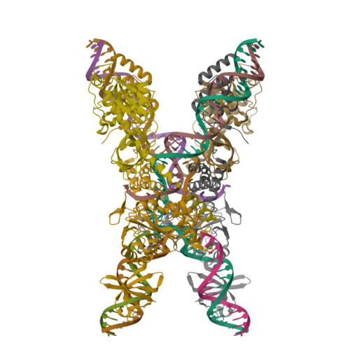RCSB PDB - 7SVW: Strand-transfer complex of TnsB from ShCAST