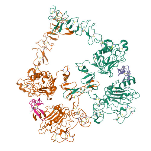 Rcsb Pdb Sz Cryo Em Structure Of The Extracellular Module Of The Full Length Egfr L R