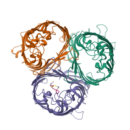 Rcsb Pdb Szi Cryo Em Structure Of Ompk Tran Mating Pair Stabilization Proteins From