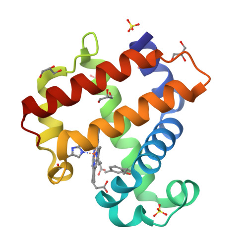 RCSB PDB - 7T9C: Crystal structure of dehaloperoxidase B in complex ...