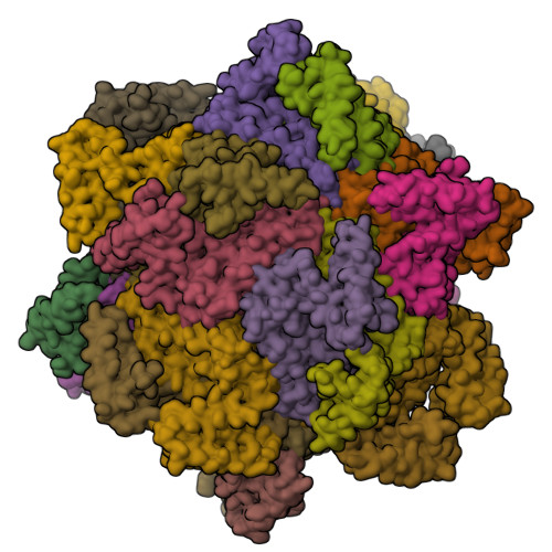 RCSB PDB - 7TB3: cryo-EM structure of MBP-KIX-apoferritin