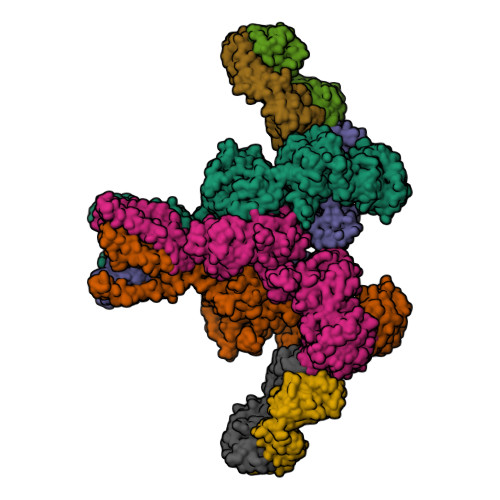 RCSB PDB - 7TER: Cryo-EM structure of GluN1b-2B NMDAR in complex with ...