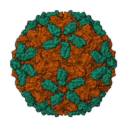 RCSB PDB - 7TI5: Adeno-associated virus Go.1 in Complex With Its ...