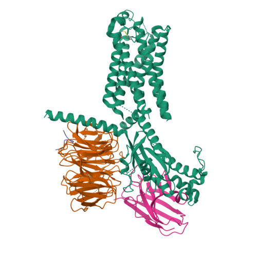 protein RCSB PDB - 7TMW: Cryo-EM structure of the relaxin receptor