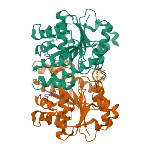 RCSB PDB - 7TNE: Selenium-incorporated nitrogenase Fe protein (Av2-Se ...