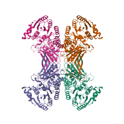 RCSB PDB - 7TOE: Structure of G6PD-WT tetramer with no symmetry imposed