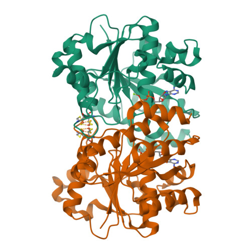 RCSB PDB - 7TQ9: Selenium-incorporated nitrogenase Fe protein (Av2-Se ...
