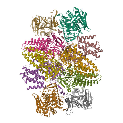 RCSB PDB - 7TRJ: The Eukaryotic Translation Initiation Factor 2B From ...