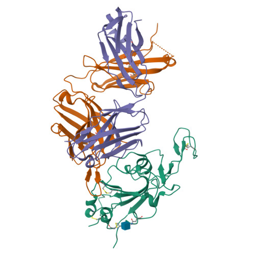 RCSB PDB - 7TTX: Crystal structure of potent neutralizing antibody 10 ...