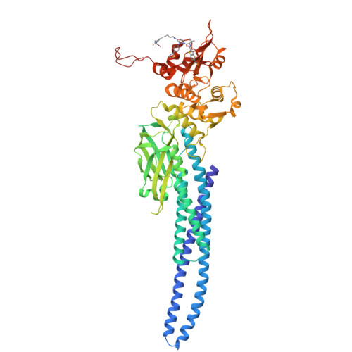 Rcsb Pdb - 7tva: Stat5a Core In Complex With Ak2292