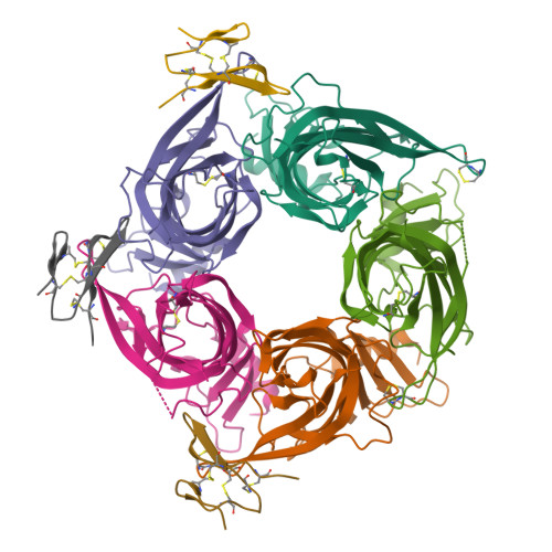 RCSB PDB - 7TXF: The allosteric binding mode of alphaD-conotoxin VxXXB
