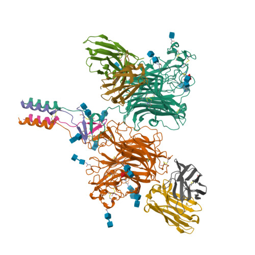 RCSB PDB - 7TXZ: Nipah Virus attachment (G) glycoprotein