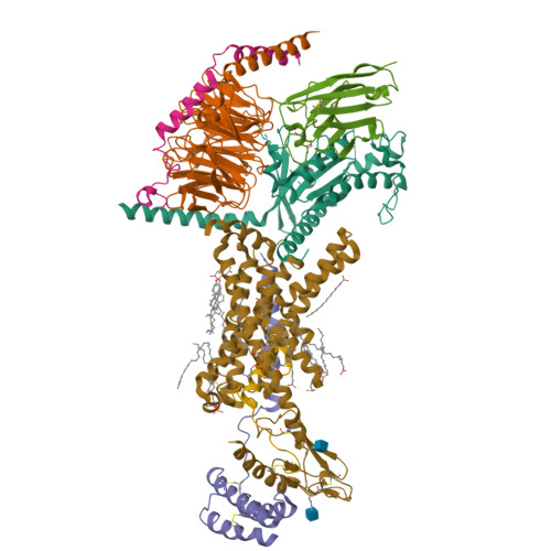 RCSB PDB 7TYF Human Amylin1 Receptor in complex with Gs and rat amylin peptide