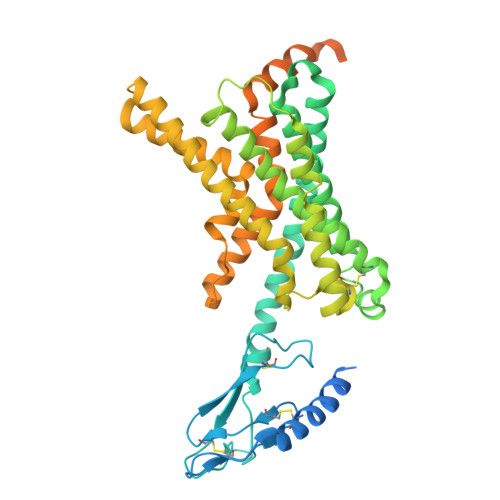 RCSB PDB - 7TYF: Human Amylin1 Receptor in complex with Gs and rat ...