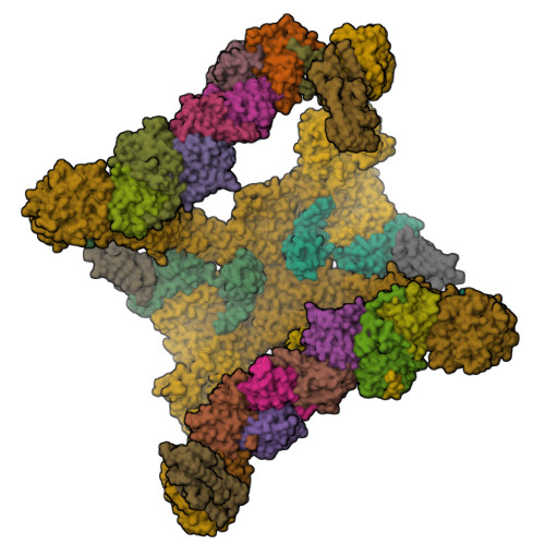 RCSB PDB - 7U06: Structure of the yeast TRAPPII-Rab11/Ypt32