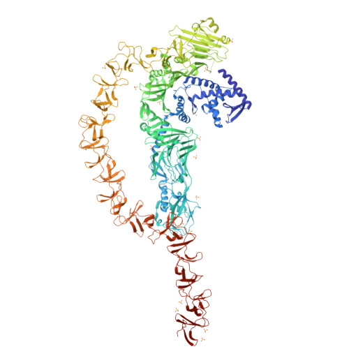 RCSB PDB - 7U1Z: Crystal Structure Of The DRBD And CROPs Of TcdA