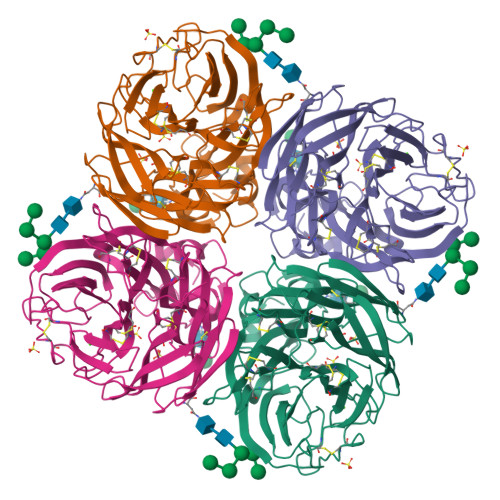 RCSB PDB - 7U4F: Neuraminidase from influenza virus A/Moscow/10
