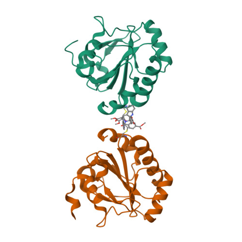 RCSB PDB - 7U4N: Crystal structure of human GPX4-U46C in