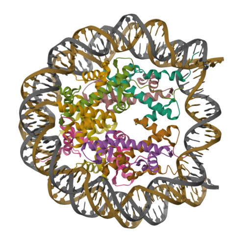 RCSB PDB - 7U51: Nucleosome core particle with AP-site at SHL-6