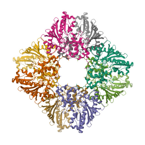 RCSB PDB - 7U5I: Cryo-EM Structure Of Mitochondrial Creatine Kinase