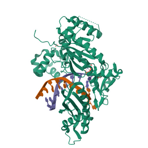 RCSB PDB - 7U7K: Human DNA polymerase eta-DNA ternary mismatch 