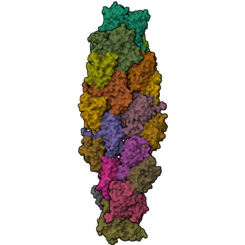 RCSB PDB 7U8K Magic Angle Spinning NMR Structure Of Human Cofilin 2 Assembled On Actin Filaments