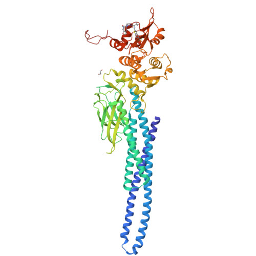 RCSB PDB - 7UC7: Stat5a Core in complex with Compound 17