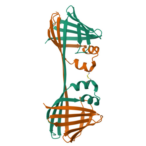 RCSB PDB - 7UCV: The Crystal Structure of Apo Domain-Swapped Dimer ...