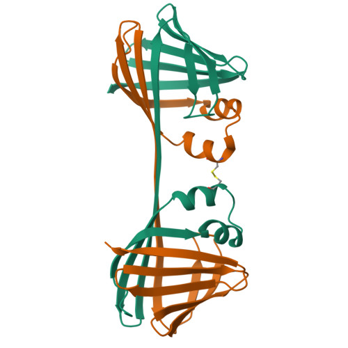 RCSB PDB - 7UD3: The Crystal Structure Of Domain-Swapped Dimer Q108K ...