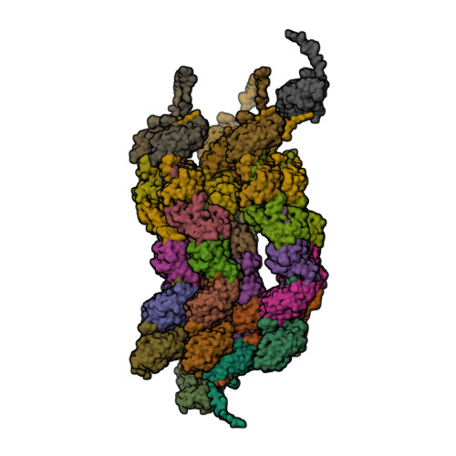 RCSB PDB - 7UEG: Cryo-EM of bundling pili from Pyrobaculum calidifontis