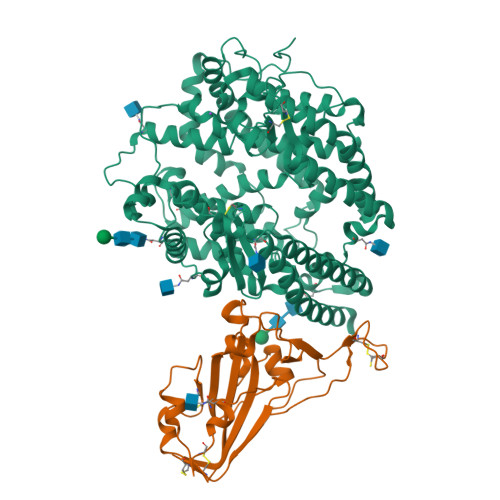 RCSB PDB - 7UFK: Crystal structure of chimeric omicron RBD (strain BA.2 ...