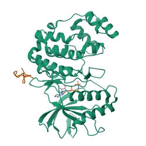 RCSB PDB - 7UGB: Crystal structure of rat ERK2 complexed