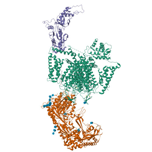 RCSB PDB - 7UHF: Human L-type voltage-gated calcium channel