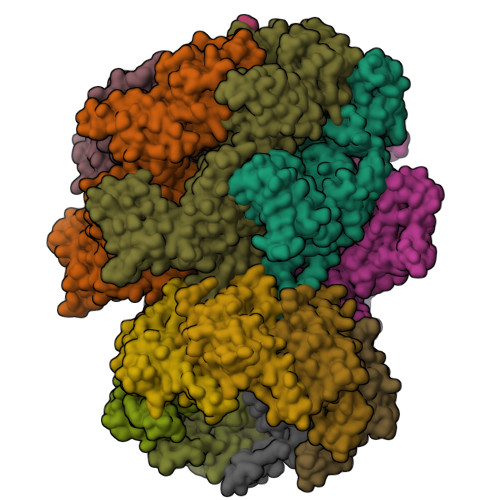 RCSB PDB - 7UJ0: ClpAP complex bound to ClpS N-terminal extension ...