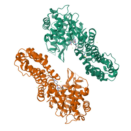 RCSB PDB - 7UJ4: Inhibition of Human Menin by SNDX-5613