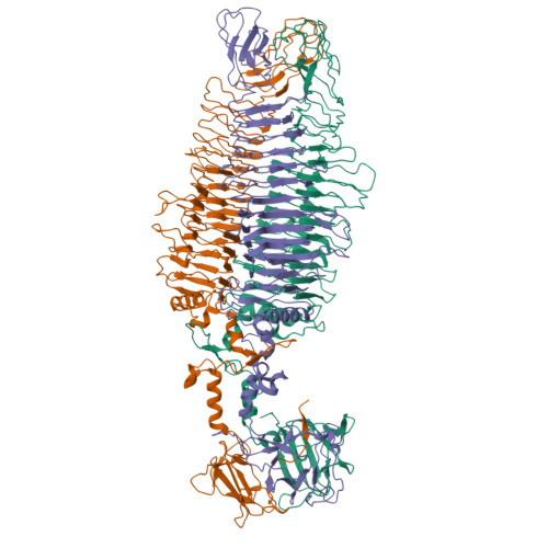 Rcsb Pdb 7ukj In Situ Cryo Em Structure Of Bacteriophage Sf6 Portal