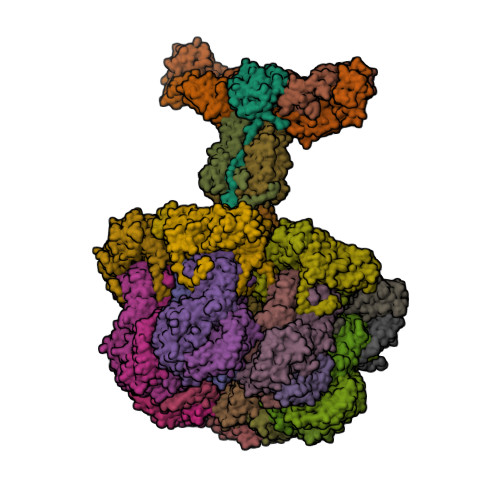 RCSB PDB - 7UMS: Structure of the VP5*/VP8* assembly from the human ...