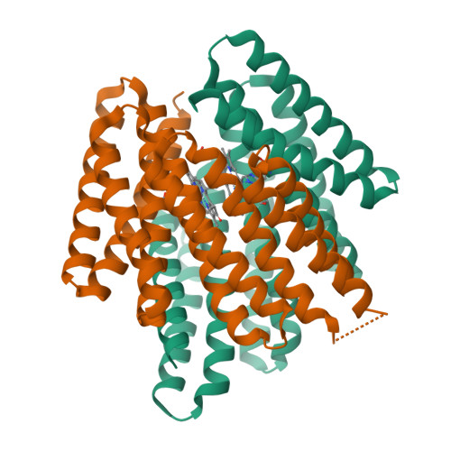 RCSB PDB - 7UNI: De novo designed chlorophyll dimer protein with Zn  pheophorbide a methyl ester, SP2-ZnPPaM