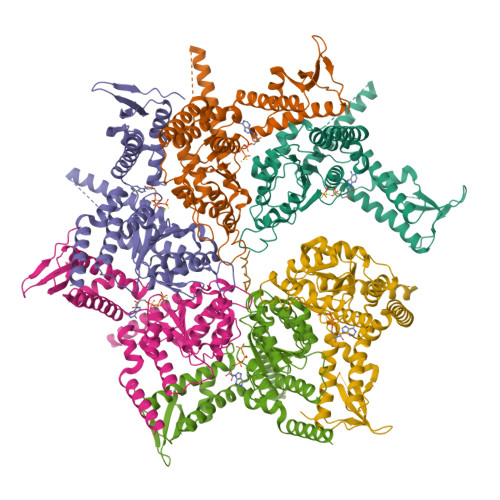アニメ HzEdge zeghed Label S-hybrid crystalP Z/X -Zillions of enemy X- EXパック第45弾 リユニオン