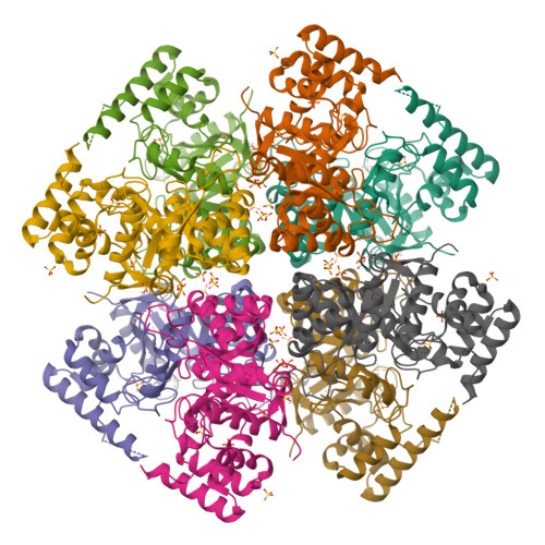 RCSB PDB - 7UTF: Structure-Function Characterization Of An Aldo-keto ...