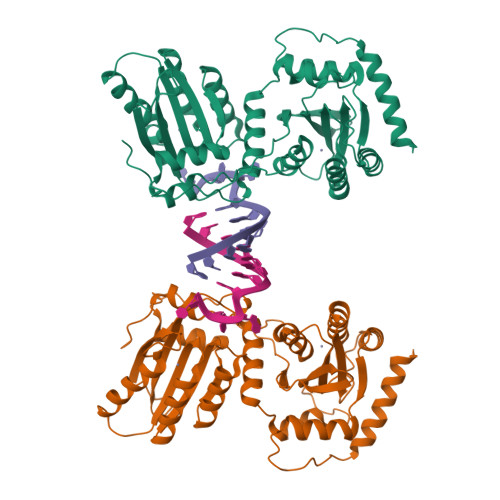 RCSB PDB - 7UU3: Crystal structure of APOBEC3G complex with 3'overhangs ...