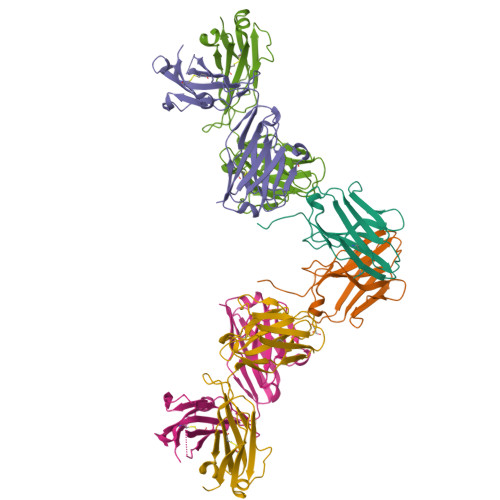 RCSB PDB - 7UVF: Crystal structure of ZED8 Fab complex with CD8 alpha