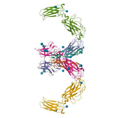 RCSB PDB - 7UWL: Structure of the IL-25-IL-17RB-IL-17RA ternary complex