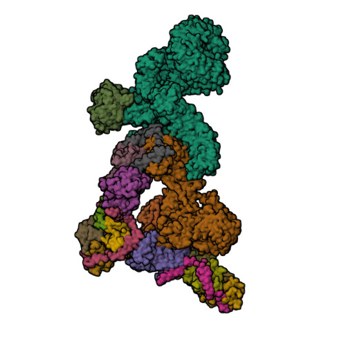 RCSB PDB - 7UXC: cryo-EM structure of the mTORC1-TFEB-Rag-Ragulator ...